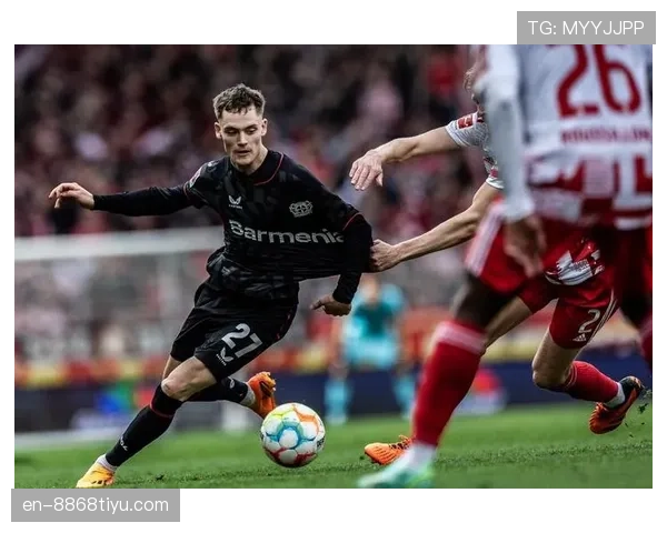 维尔茨：组织核心到终结参与者的角色进化与数据解析